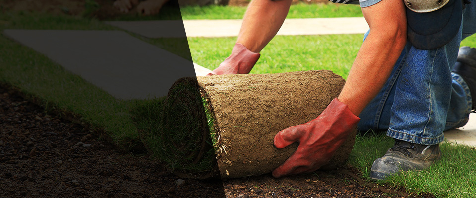 Andrews Landscapers
